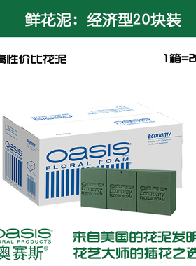 奥赛斯®花泥 oasis经济型20块装花泥 插花湿花泥鲜花泥 原奥塞斯