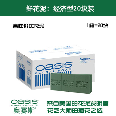 奥赛斯花泥oasis20经济型插花