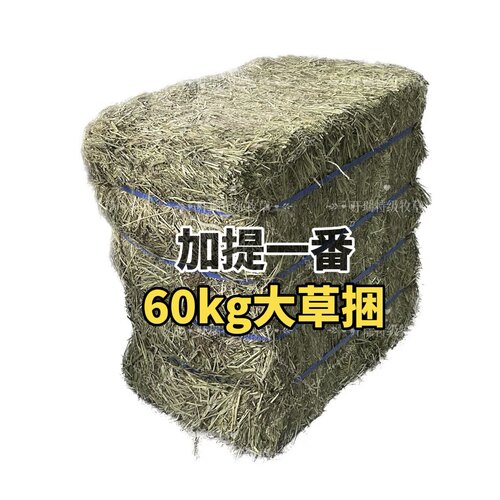 批发一番加拿大提摩西草垛120斤 sp加提晒干龙猫兔子兔兔干草饲料