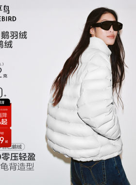 太平鸟15D霍尔多巴吉鹅绒服女