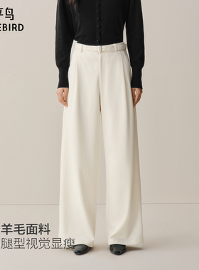 【商场同款】太平鸟2025年冬季新款醋酸阔腿直筒休闲裤A1GBF4324