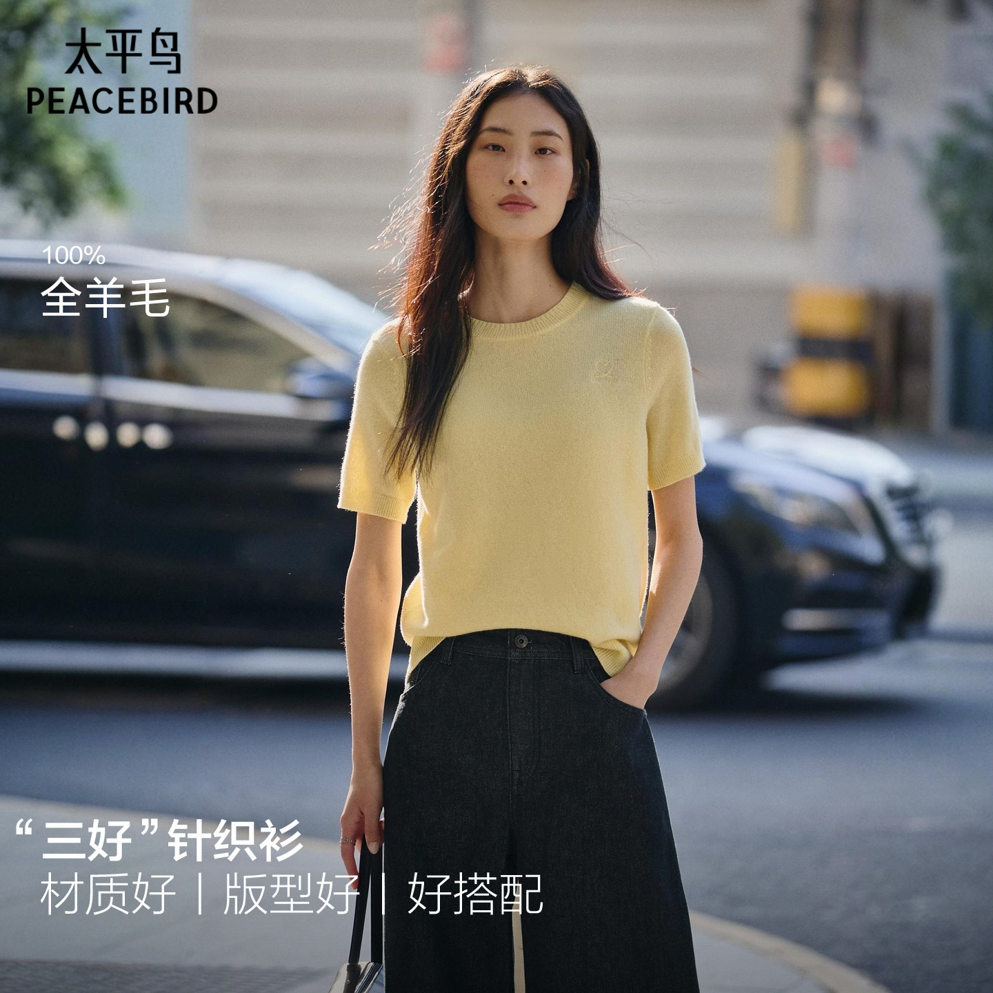 太平鸟 全羊毛圆领短袖针织26春夏季新款爱心刺绣图案三好针织衫