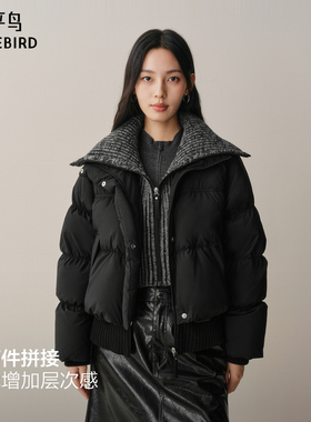 【商场同款】太平鸟拼接羽绒服女白鸭绒保暖加厚外套女A3ACF4424