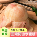 无锡阳山水蜜桃 水果 日川桃白凤桃湖景桃礼盒装 自家果园直发当季