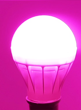 粉紫色红色LED节能灯泡E27螺口情趣调情补光卧室床头粉紫单个灯泡