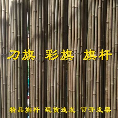 伸缩旗杆2米3米导游旗杆