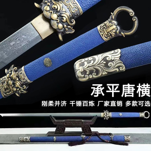 龙泉市承平环首唐剑一体花纹钢唐横刀剑收藏镇宅宝剑冷兵器未开刃
