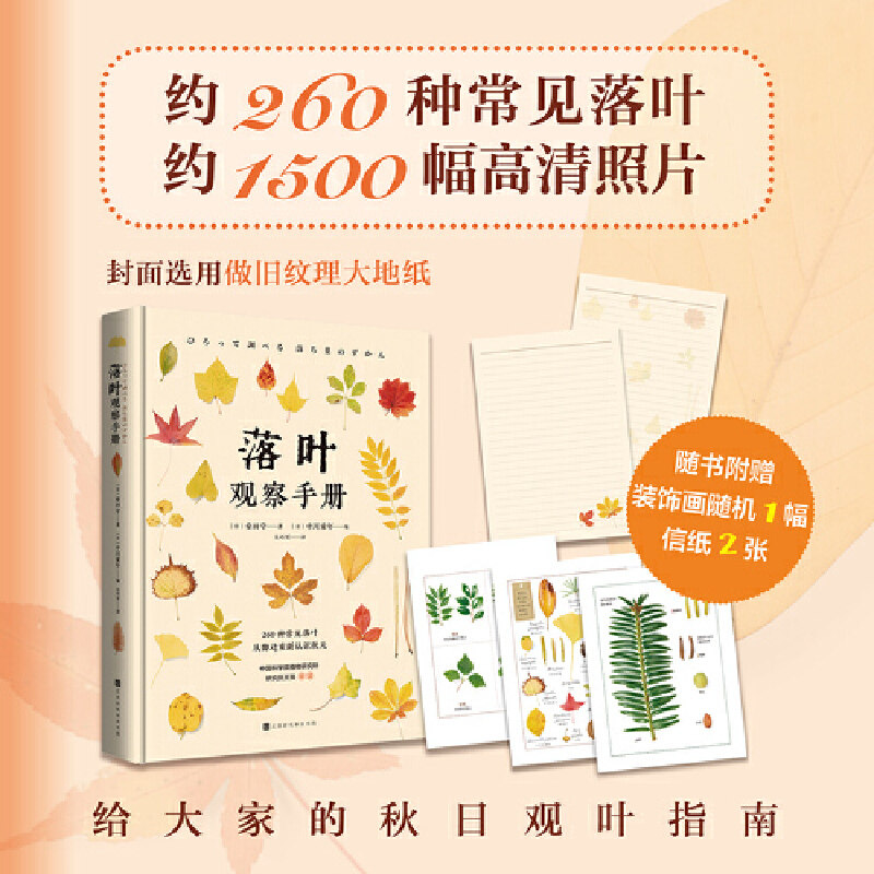 【正版现货】落叶观察手册 260种常见落叶 植物迷的入门工具书 落叶收藏者的欣赏图鉴 科普类 观叶指南搭植物挂图种子果实观察手册