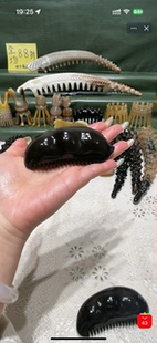 新品88折（胖胖豌豆）黑水异化脸梳长9.1厚2.7宽4.1