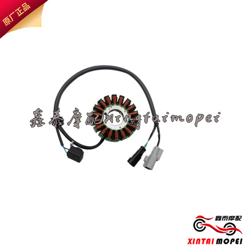 小黄龙250幼狮金鹏磁电机线圈