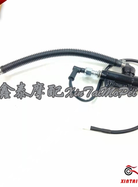 钱江贝纳利小黄龙BJ300GS/TNT300飓风302R后油泵体后刹上泵一字泵