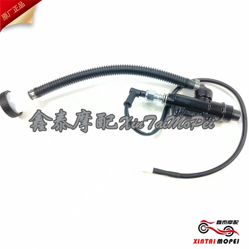 钱江贝纳利小黄龙300飓风一字泵