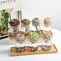 Комбинация Hydroponic 6 (Rose Mrs. Huayueyue Night Red Border Special Jade Lotus Moon Fairy Leo)