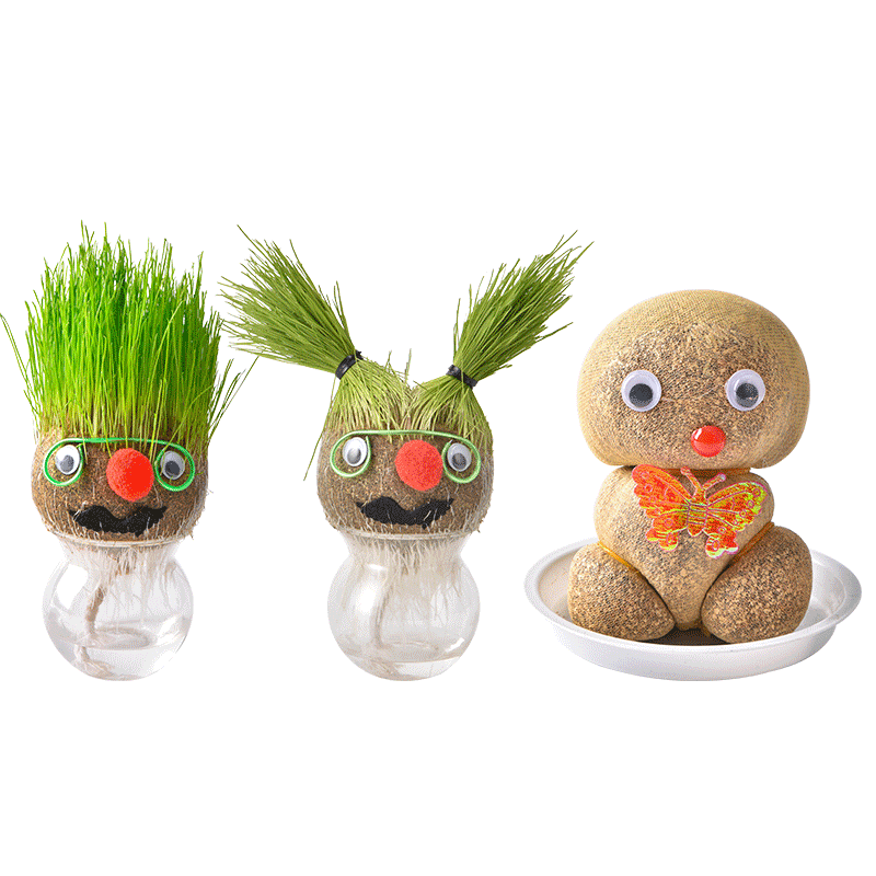 草头娃娃头上长草小盆栽