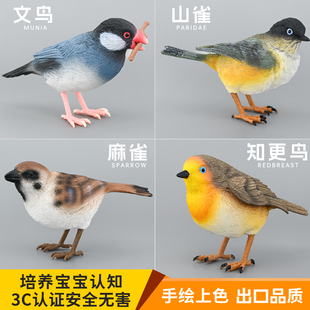 实心儿童仿真动物模型动物玩具山雀麻雀文鸟知更鸟类早教认知礼物