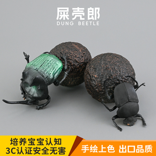 实心儿童仿真昆虫玩具动物模型 蜣螂 屎壳郎 圣甲虫 认知礼品摆件