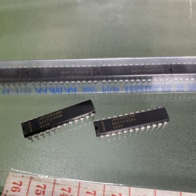 MAX7219CNG MAX7219ENG 直插DIP-24 显示器驱动器 全新原装