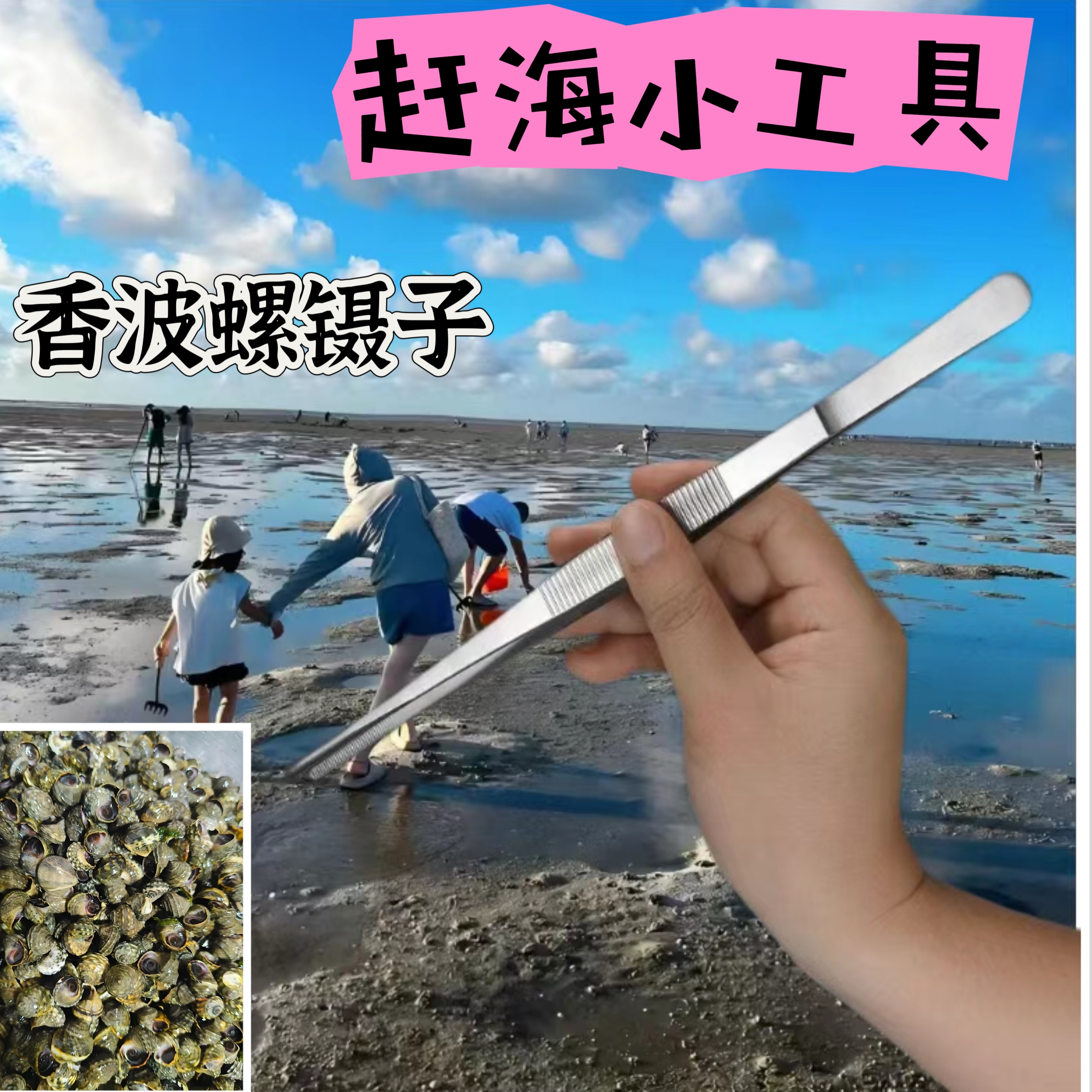 赶海工具 镊子 香波螺工具 夹子 夹小螺 抠缝工具 夹海鲜 不锈钢