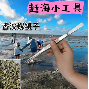 赶海工具 镊子 香波螺工具 夹子 夹小螺 抠缝工具 夹海鲜 不锈钢