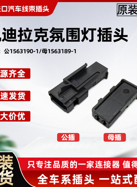 凯迪拉克ATSL公1563190-1/母1563189-1拉手氛围灯2孔连接插头端子