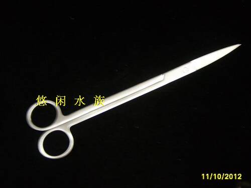 不锈钢水草直剪刀 水草缸修草剪刀 25cm长水草直剪、弯剪