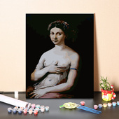 数字油画diy手工填充世界名画拉斐尔拉芙娜·莉娜手绘涂色油彩画