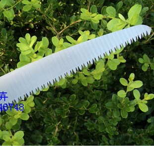 爱利狮 松木手柄木工手锯/园林 锯子/园艺 锯子/木工锯子/刀锯