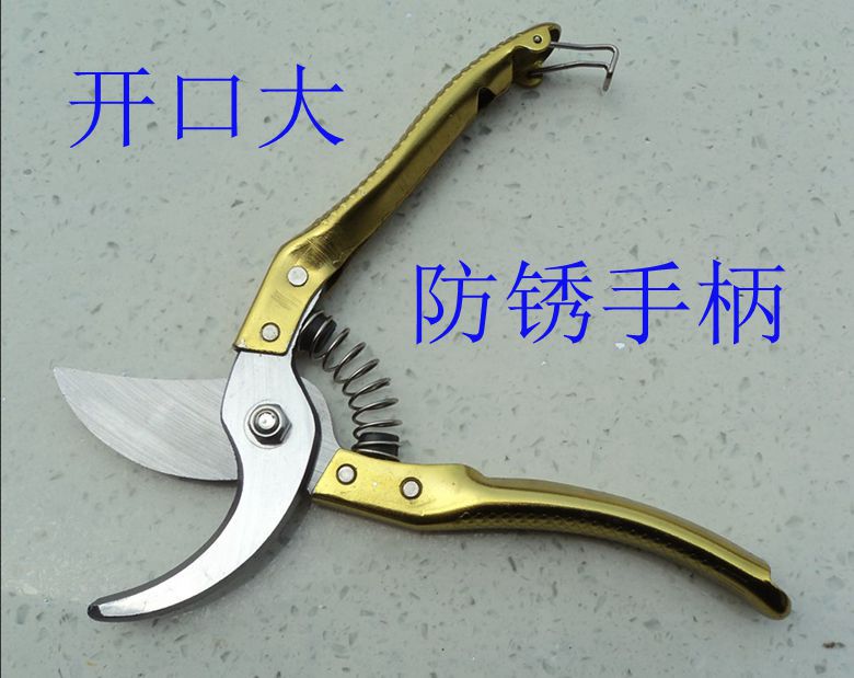 老神树FS1022花剪刀修枝剪果树剪刀金色手把加厚材料质量好