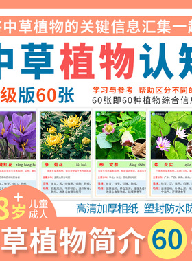 中草药本植物认知卡片儿童早教益智盆栽花卉花朵名词知识介绍教具