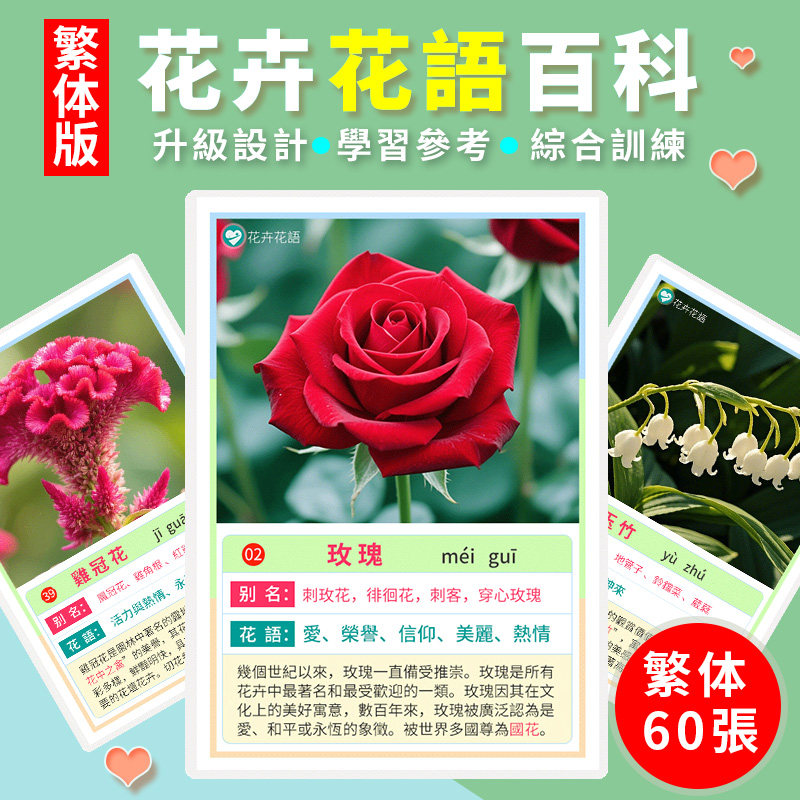 繁体花卉花語百科卡片花朵鮮花知識植物介紹兒童學生早教認知教具