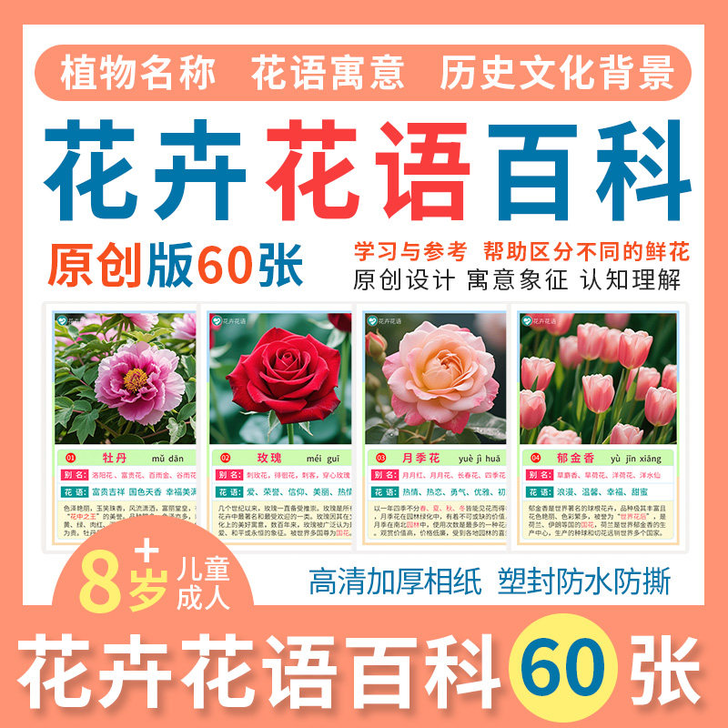 花卉花语百科卡片花朵鲜花知识历史植物介绍儿童学生早教认知教具