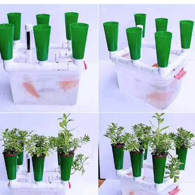 无土栽培有机种植6孔鱼菜共生系统潮汐虹吸种植教学设备 包邮