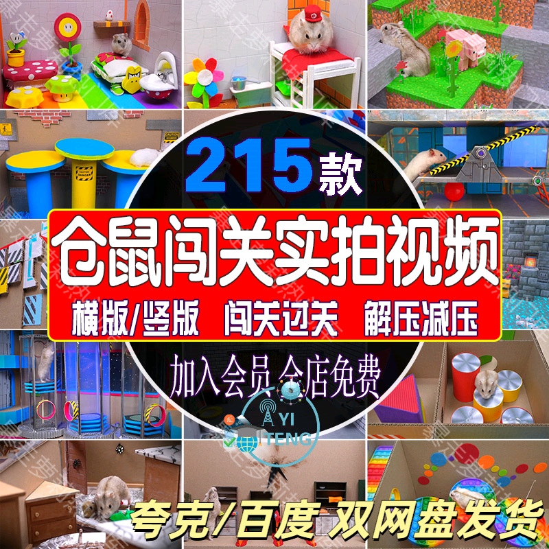 国外小仓鼠宠物闯关过关解减压实拍中视频抖音小说推文自媒体素材