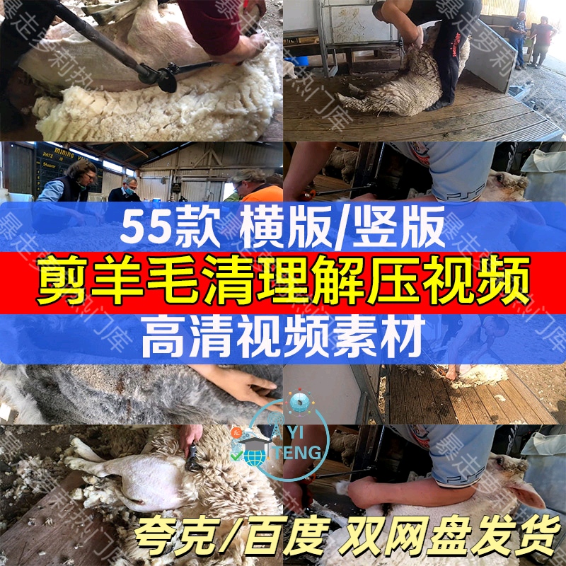 国外手艺人剪羊毛修理清理减压素材热门抖音剪辑自媒体解压视频