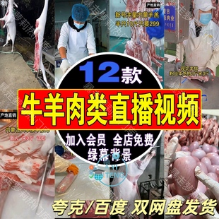 牛肉羊肉羊排羊宝实拍半无人直播间背景素材抖音高清带货录播视频