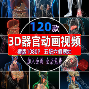 3D医疗科技人体器官动画心脑关节五脏六俯医学演示片高清视频素材