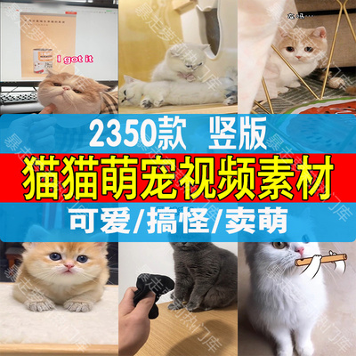 猫咪宠物短视频猫猫可爱搞笑高清抖音快手自媒体剪辑无水印素材