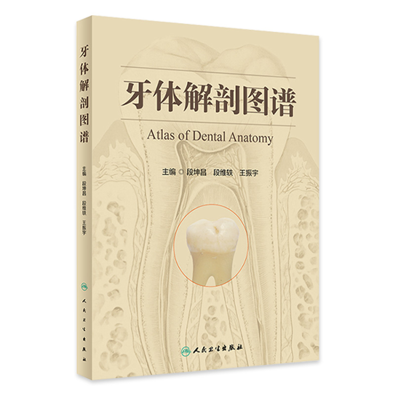 牙体解剖图谱 段坤昌 段维轶 王振宇 主编 成年人恒牙婴幼儿乳牙体实物标本图像牙列咬合口腔科书籍 人民卫生出版社9787117341998