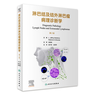 淋巴结及结外淋巴瘤病理诊断学 社 人卫b淋巴细胞喉病理诊断造血系统免疫学良性恶性病变临床病理增生鉴别诊断人民卫生出版