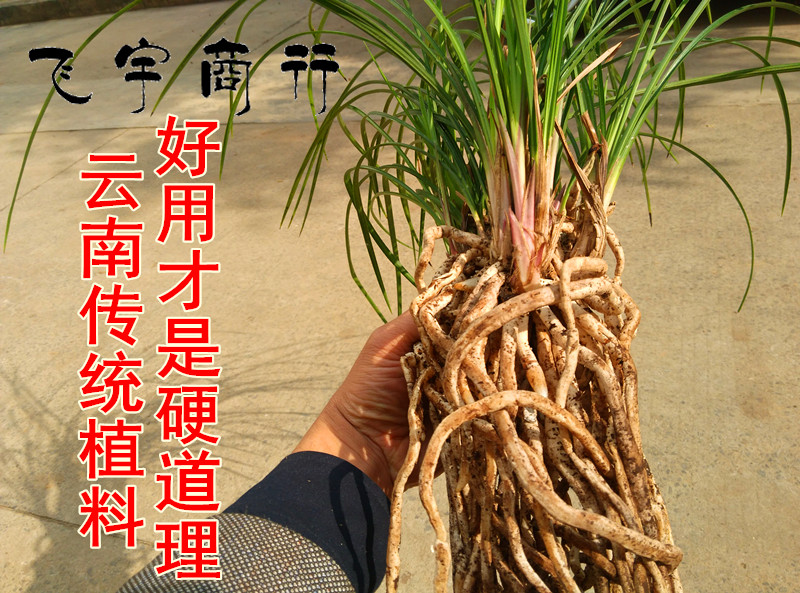 飞宇兰花土云南传统兰花土刺栗叶兰花土兰花植料兰花专用土种植土