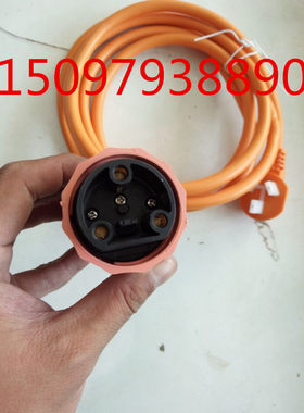 雷丁D50 D70宝路达电动汽车轿车充电线冲电插头  充电器