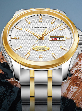 TIAN WANG Men Watch Business Mechanical Watches 51507