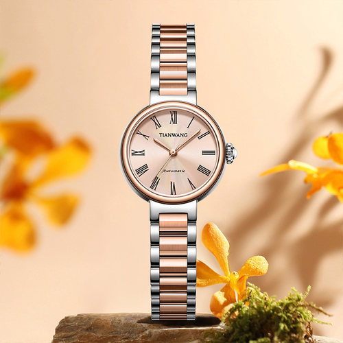 天王时尚简约通勤女士机械手表