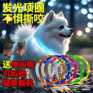 小狗发光项圈LED发光遛狗项圈塑胶材质裁剪灯带充电功能防走失必
