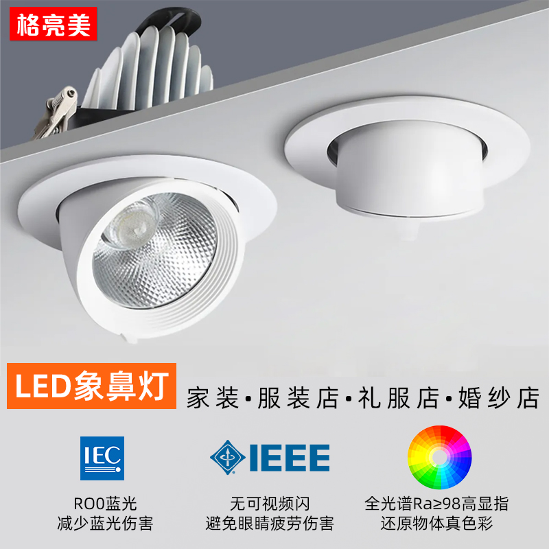 嵌入式象鼻灯超亮调角全光谱射灯