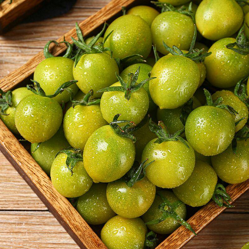 【京东发货】青甜2号超甜青口蜜小番茄新鲜当季现摘现发产地直发,水产肉类/新鲜蔬果/熟食,番茄,淘宝优惠券,粉丝福利购,淘宝优惠卷