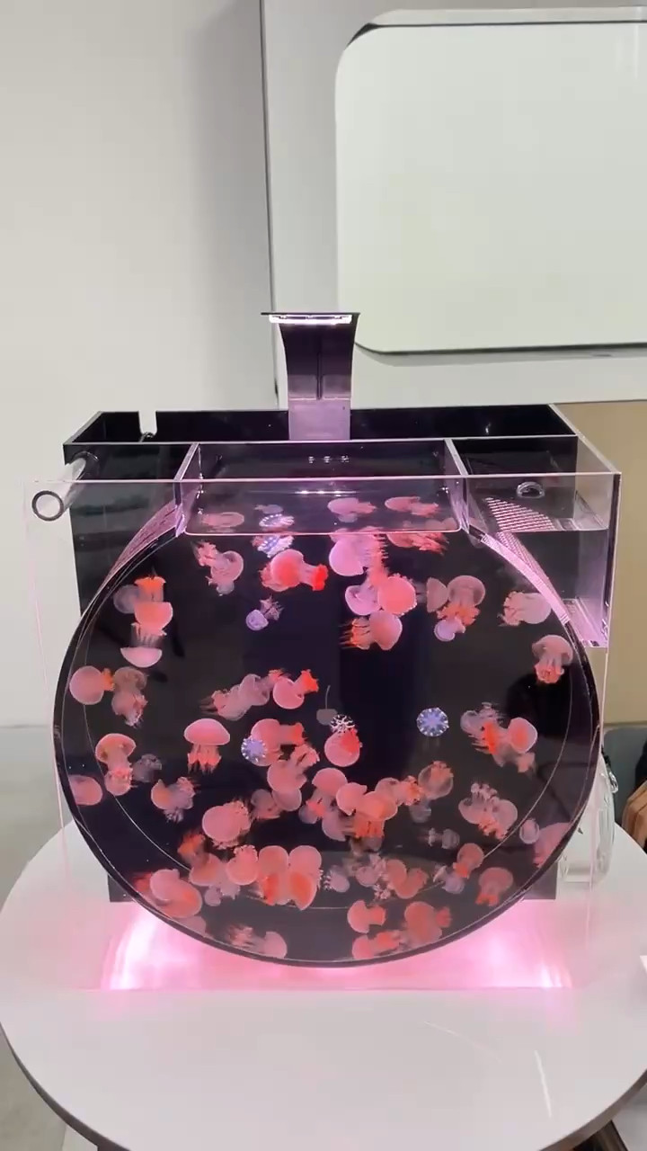 O12专业水母缸带过滤和LED灯适合家庭饲养展示网红爆款观赏水母缸