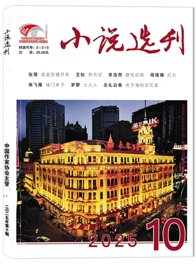 【单期可选】小说选刊杂志2025年1-11月组合打包  可选2024年/2023年1-12月全年珍藏 文摘文学阅读书籍中国作家协会主管书籍期刊