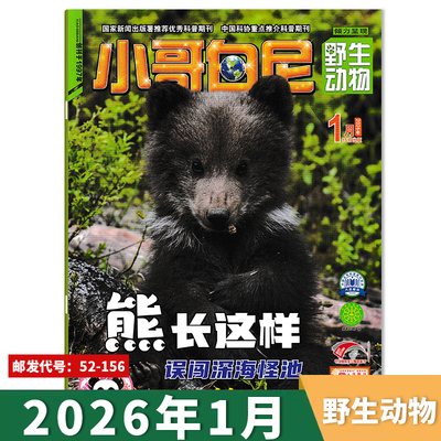 【可选】小哥白尼杂志野生动物系列2026年1月熊长这样/误闯深海怪池/动物“笑”哈哈 自然探秘、动物寻奇  青少年儿童课外阅读期刊