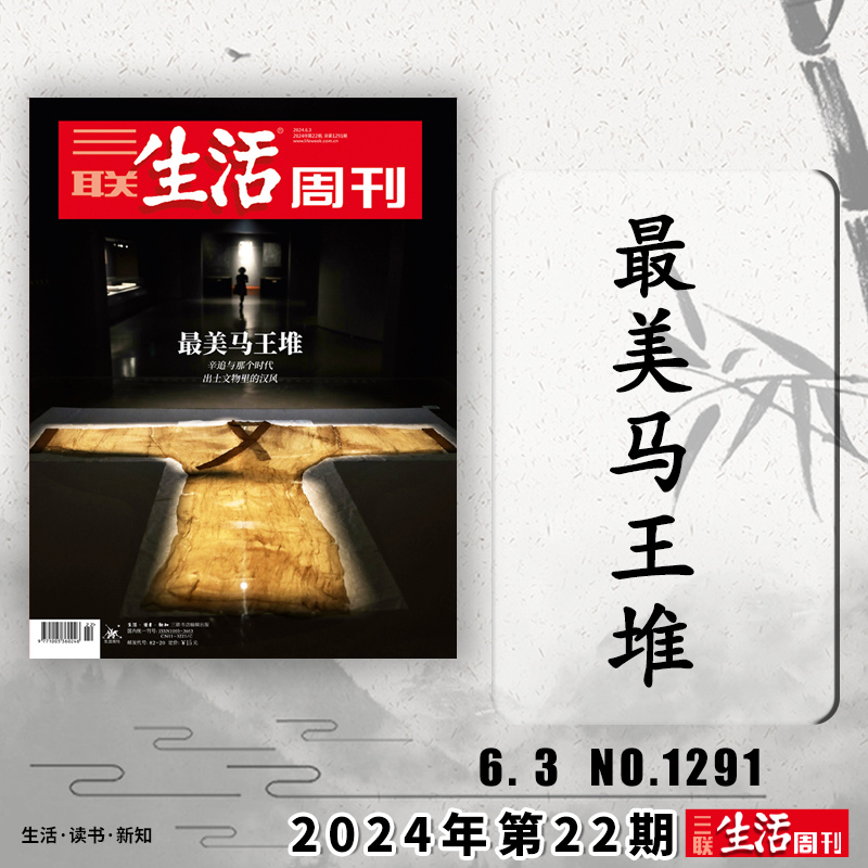 三联生活周刊2024年第22期